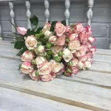 11 кустовых роз